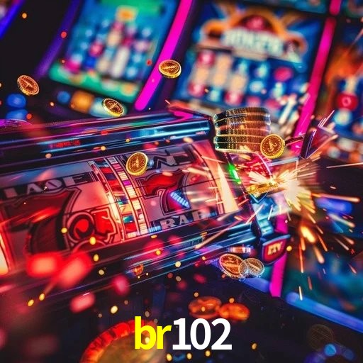 Programa VIP br102