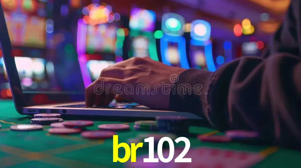 Interface Premium br102